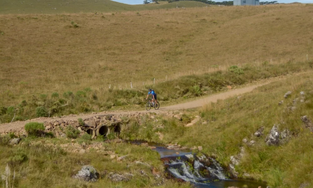 Biketour da Serra ao Mar foto 01