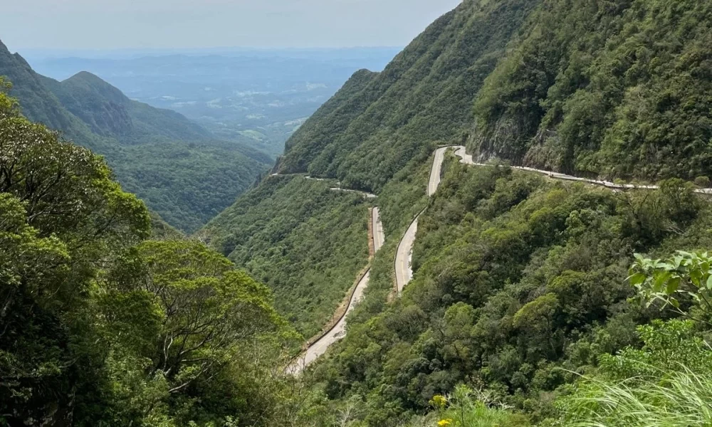 Biketour da Serra ao Mar img 04